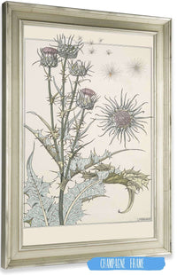 Chardon  by Maurice Pillard Verneuil Posters, Prints, & Visual Artwork