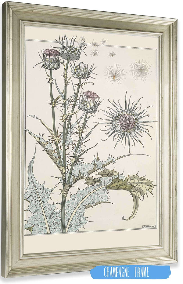 Chardon  by Maurice Pillard Verneuil Posters, Prints, & Visual Artwork