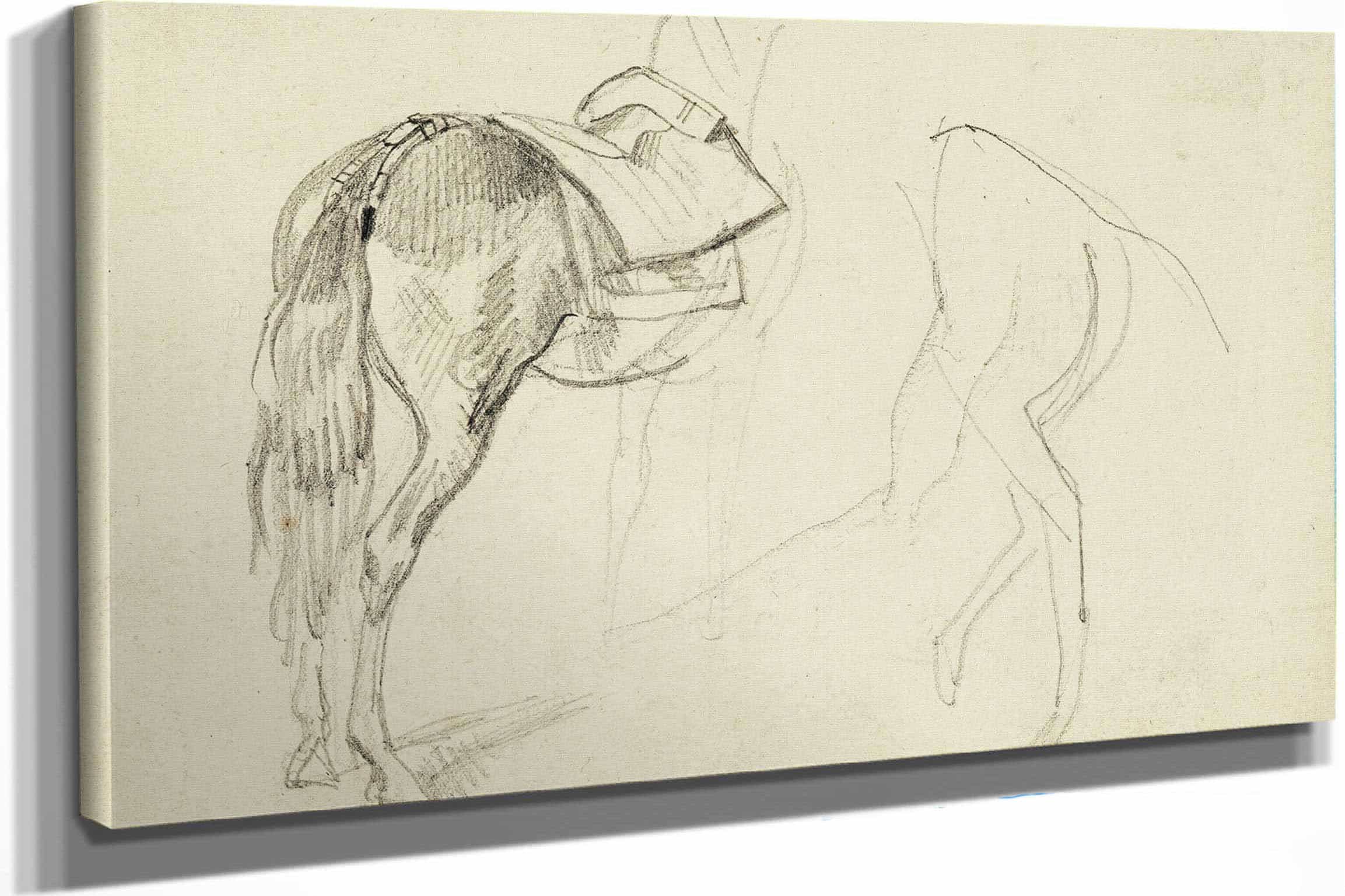 Horse Studies  by Theodore Gericault Posters, Prints, & Visual Artwork