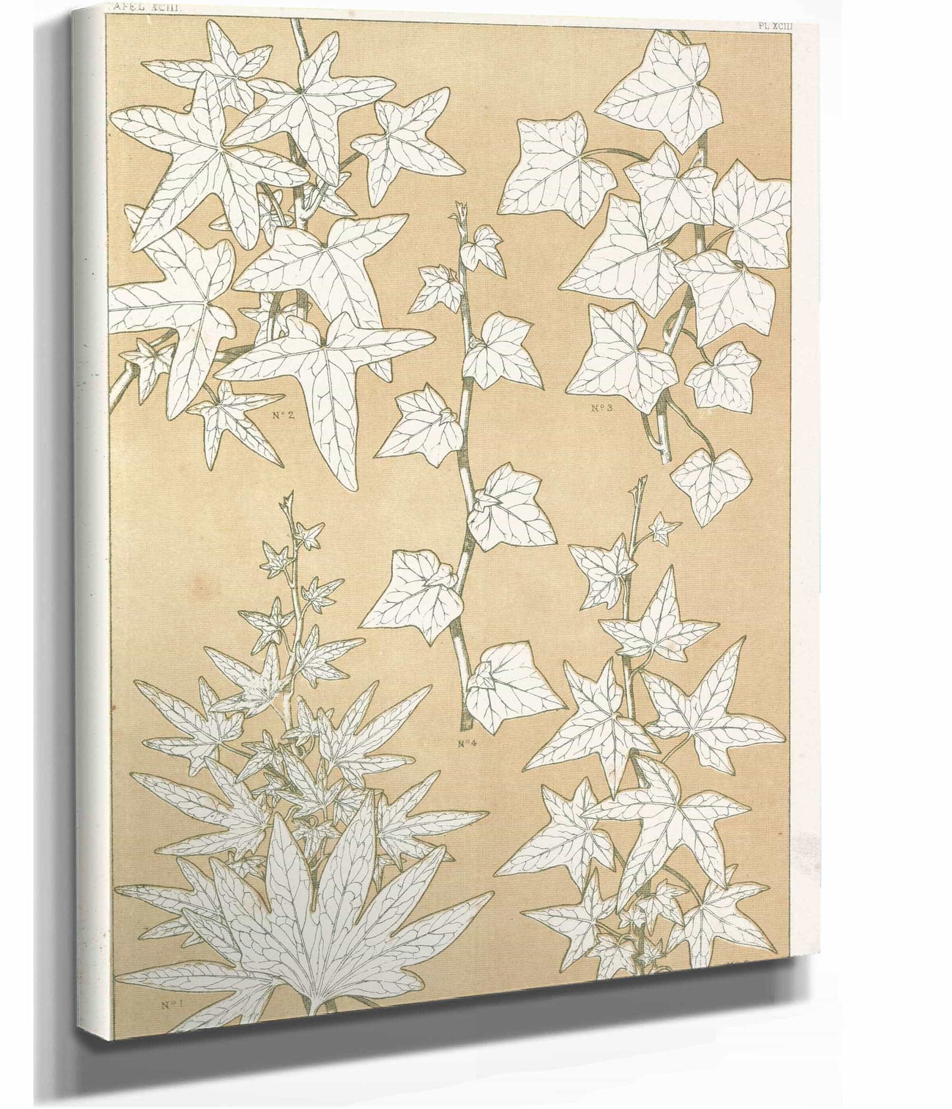 Leaves From Nature No  by Owen Jones Posters, Prints, & Visual Artwork