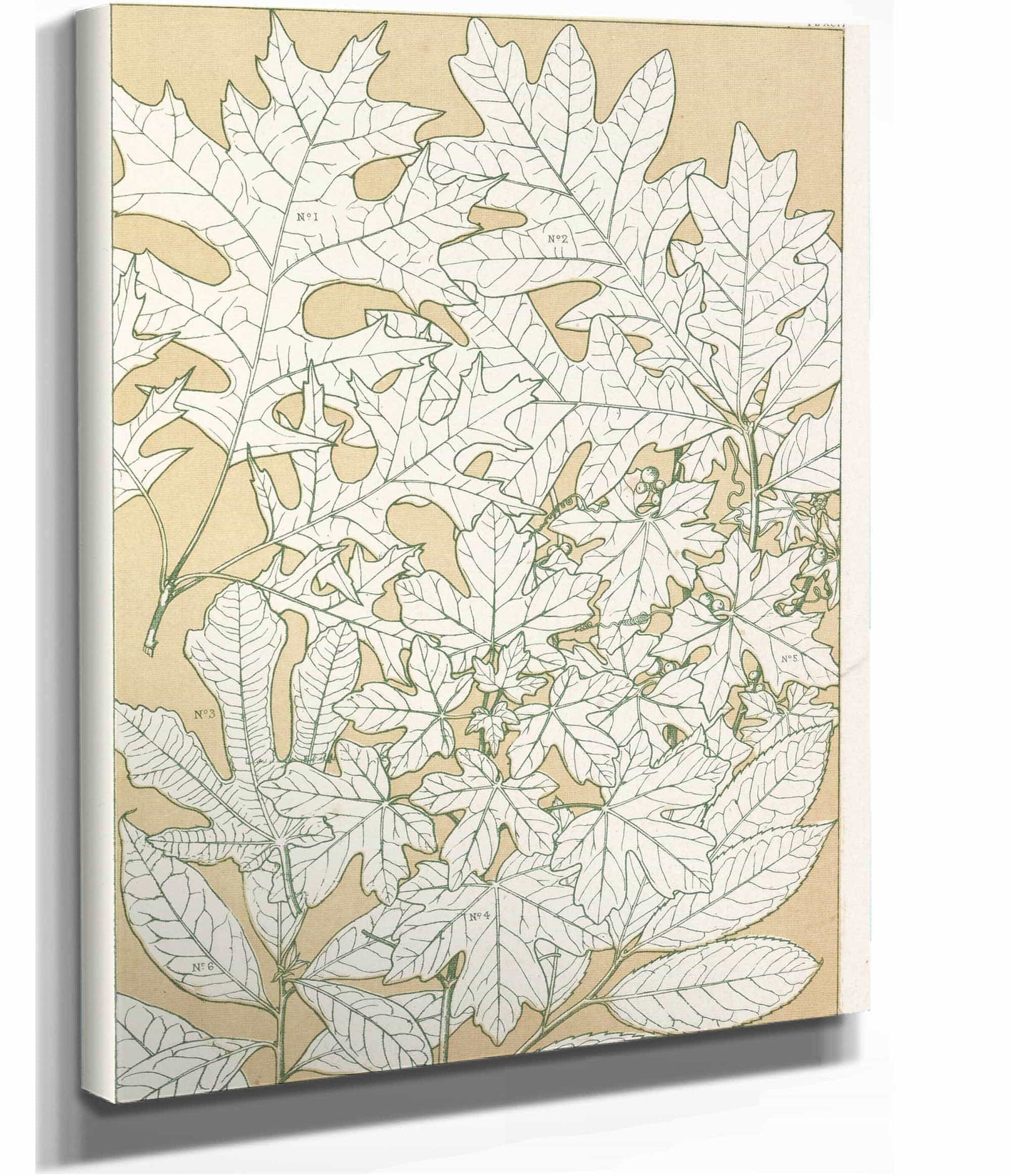 Leaves From Nature No  by Owen Jones Posters, Prints, & Visual Artwork