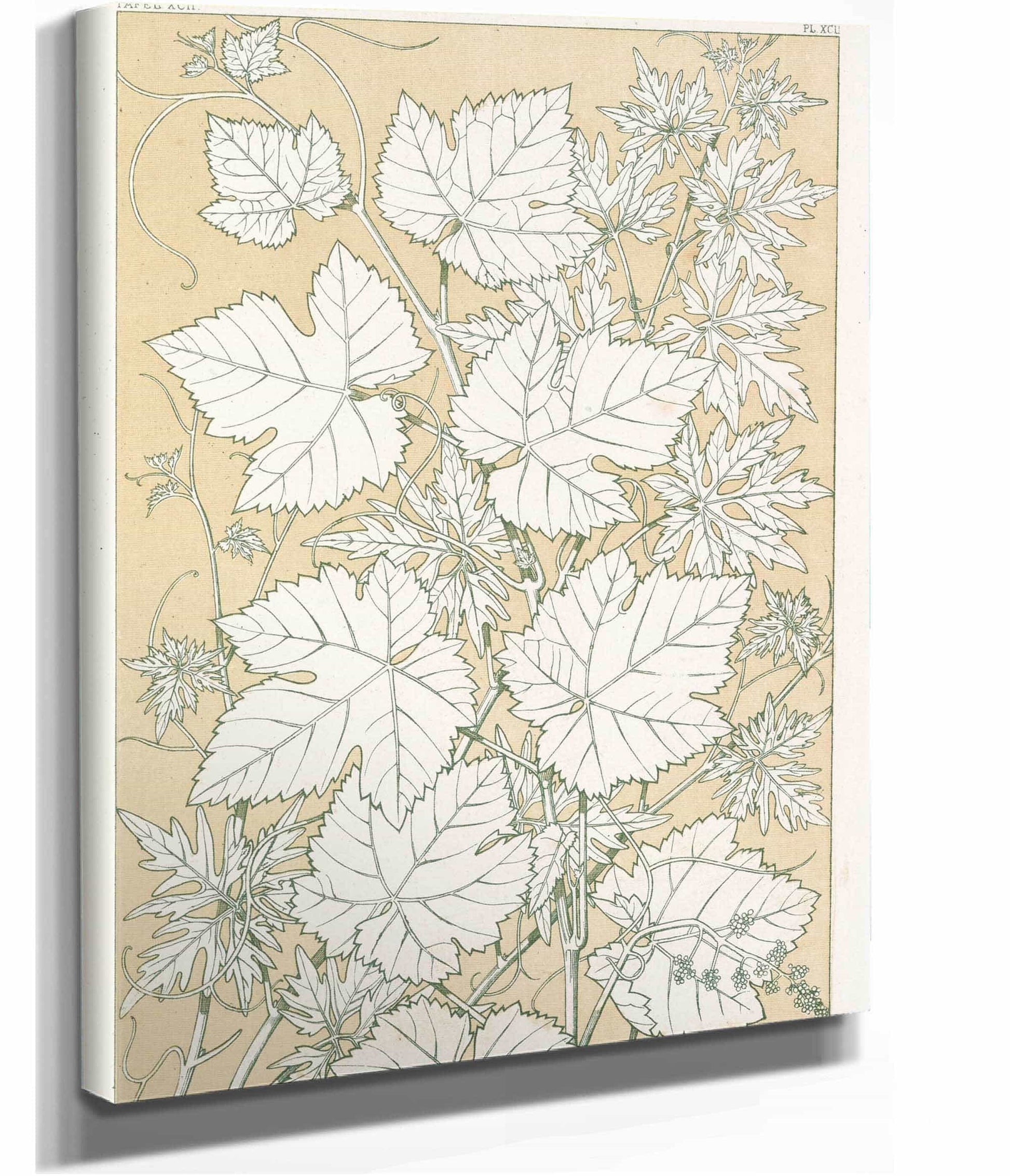 Leaves From Nature No  by Owen Jones Posters, Prints, & Visual Artwork
