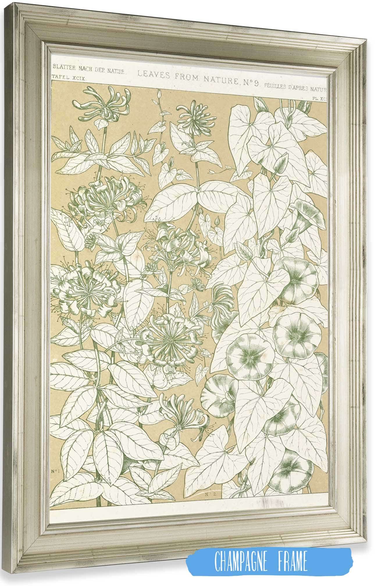 Leaves From Nature No  by Owen Jones Posters, Prints, & Visual Artwork