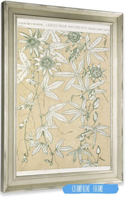 Leaves From Nature No  by Owen Jones Posters, Prints, & Visual Artwork