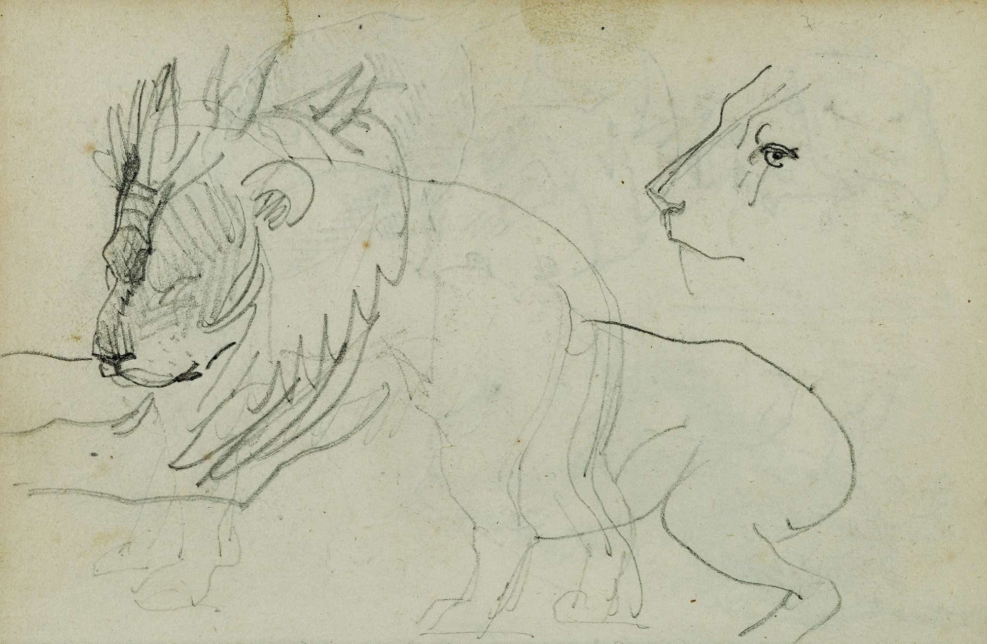 Lion Studies  by Theodore Gericault Posters, Prints, & Visual Artwork