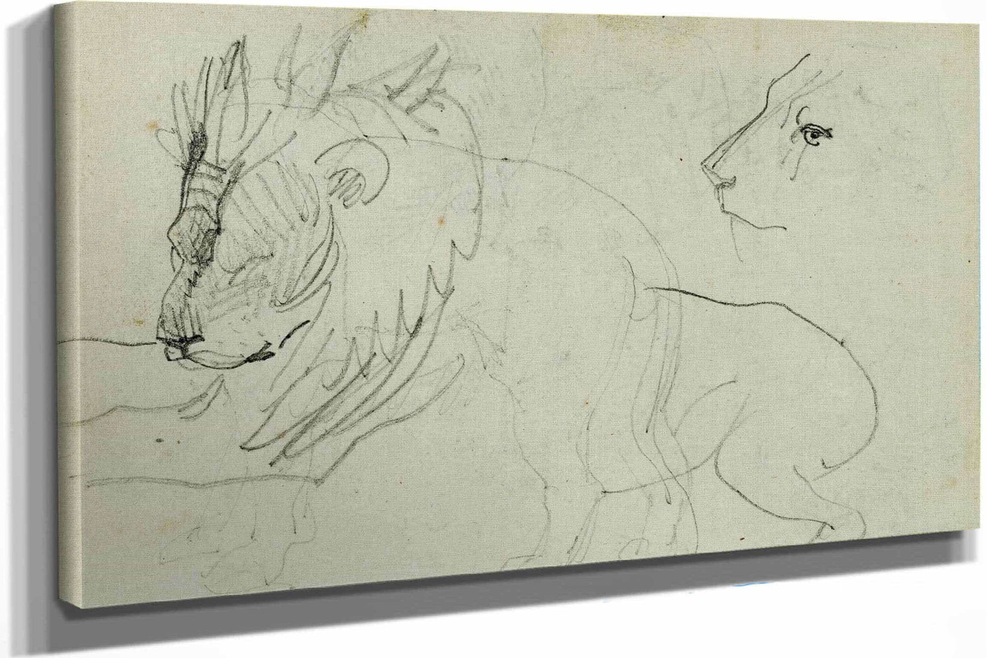 Lion Studies  by Theodore Gericault Posters, Prints, & Visual Artwork
