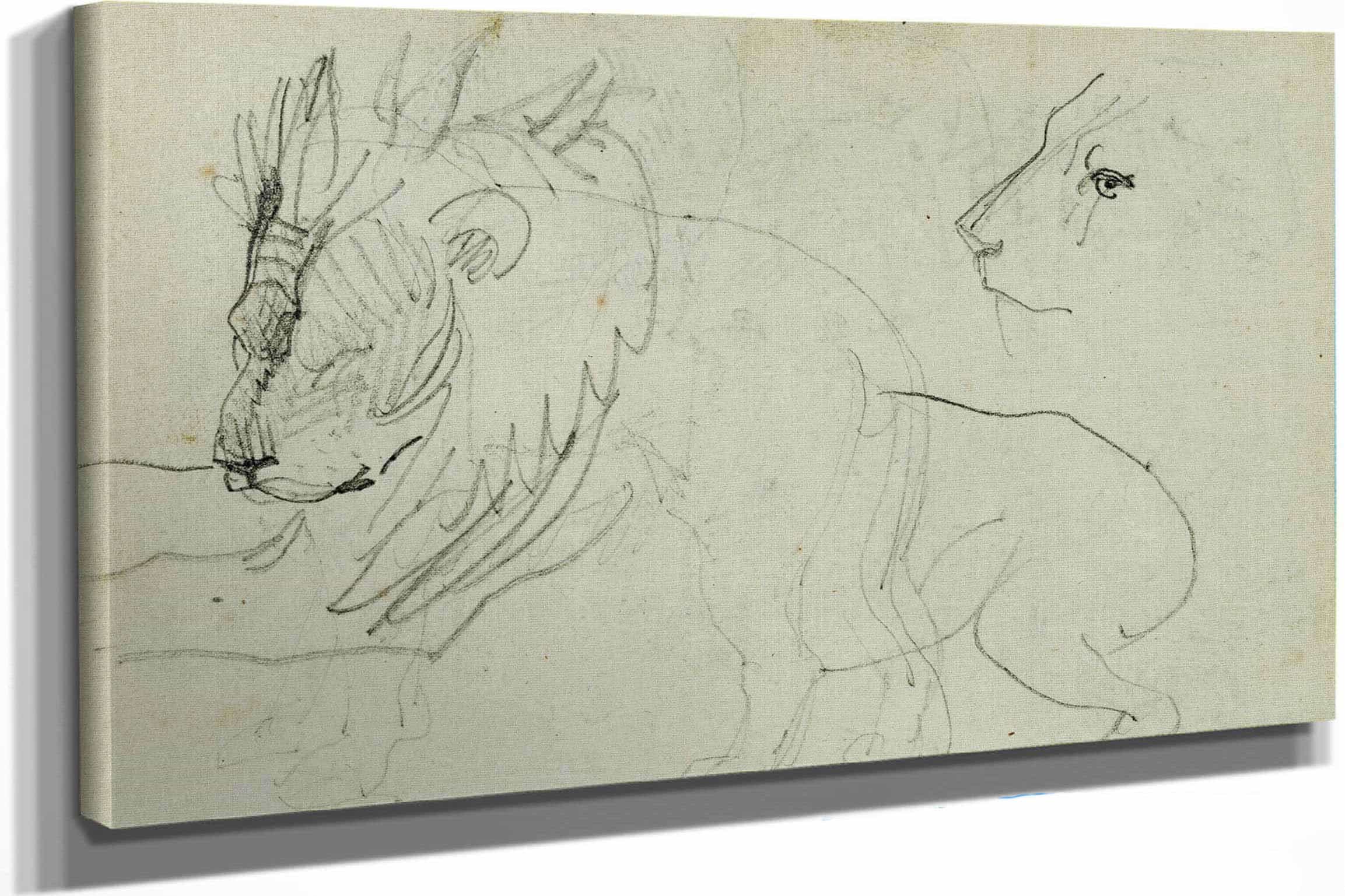 Lion Studies  by Theodore Gericault Posters, Prints, & Visual Artwork