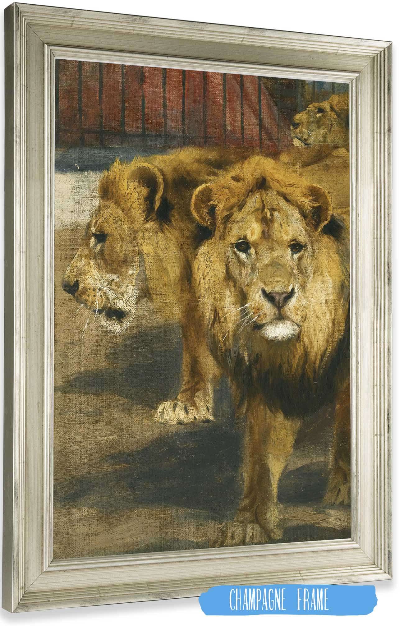 Lions by Wilhelm Kuhnert Posters, Prints, & Visual Artwork