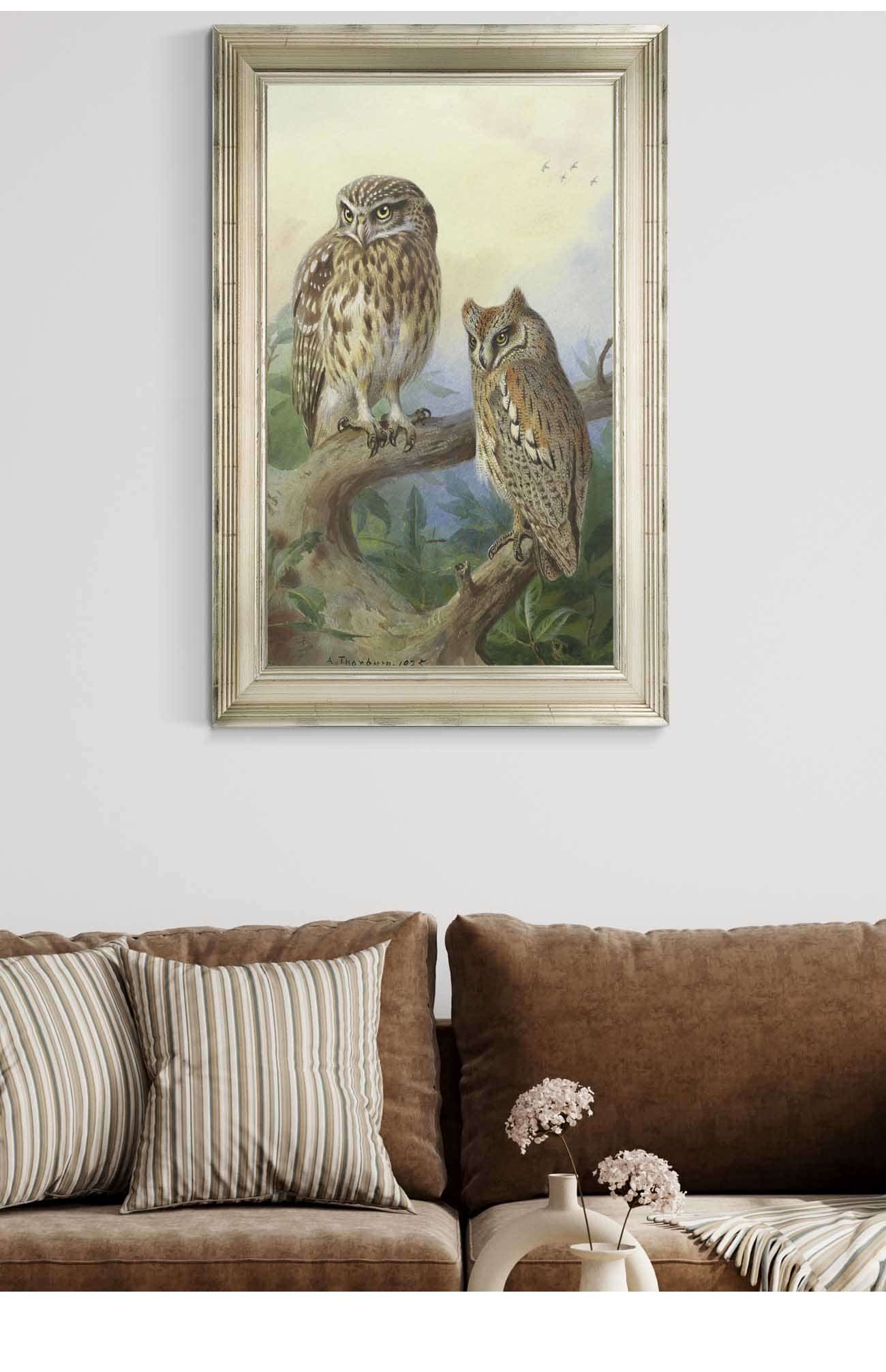 Little Owl And Scops Owl by Archibald Thorburn Posters, Prints, & Visual Artwork