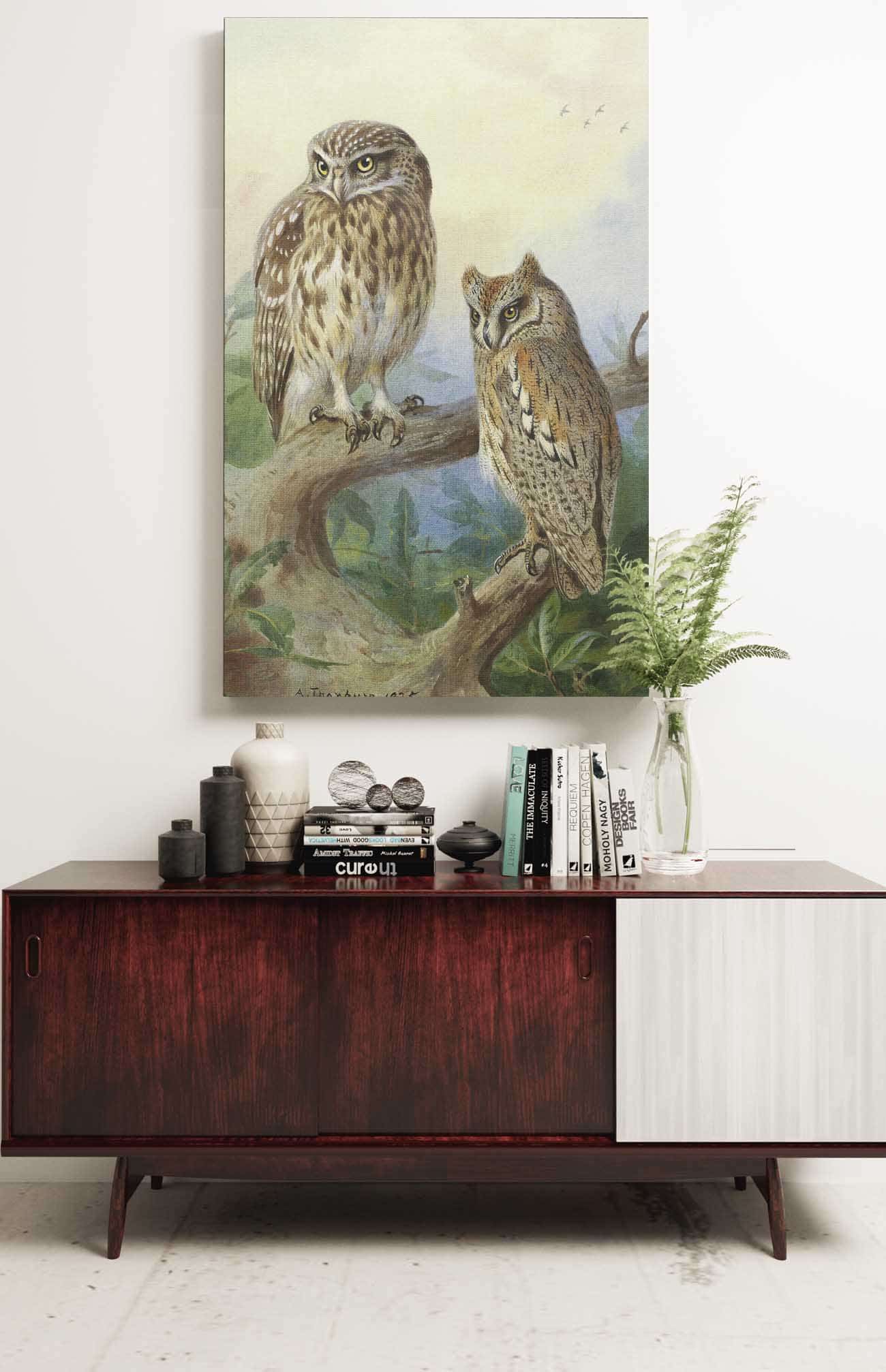 Little Owl And Scops Owl by Archibald Thorburn Posters, Prints, & Visual Artwork