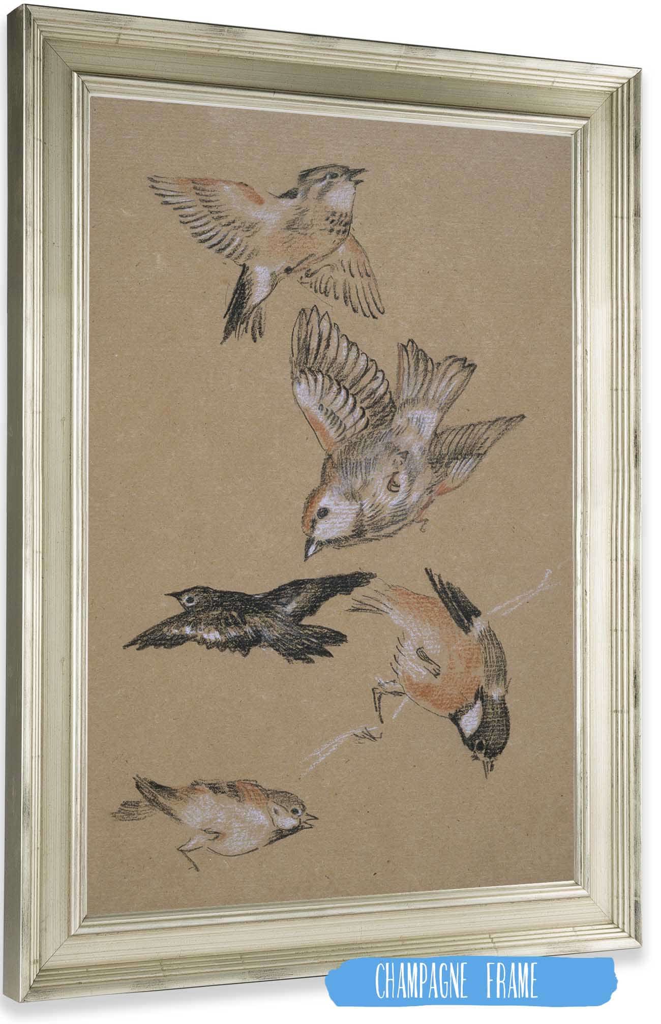 Love Leading The Pilgrim Study Of Birds Finches by Sir Edward Coley Burne Jones Posters, Prints, & Visual Artwork