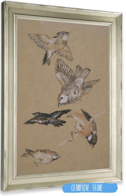 Love Leading The Pilgrim Study Of Birds Finches by Sir Edward Coley Burne Jones Posters, Prints, & Visual Artwork