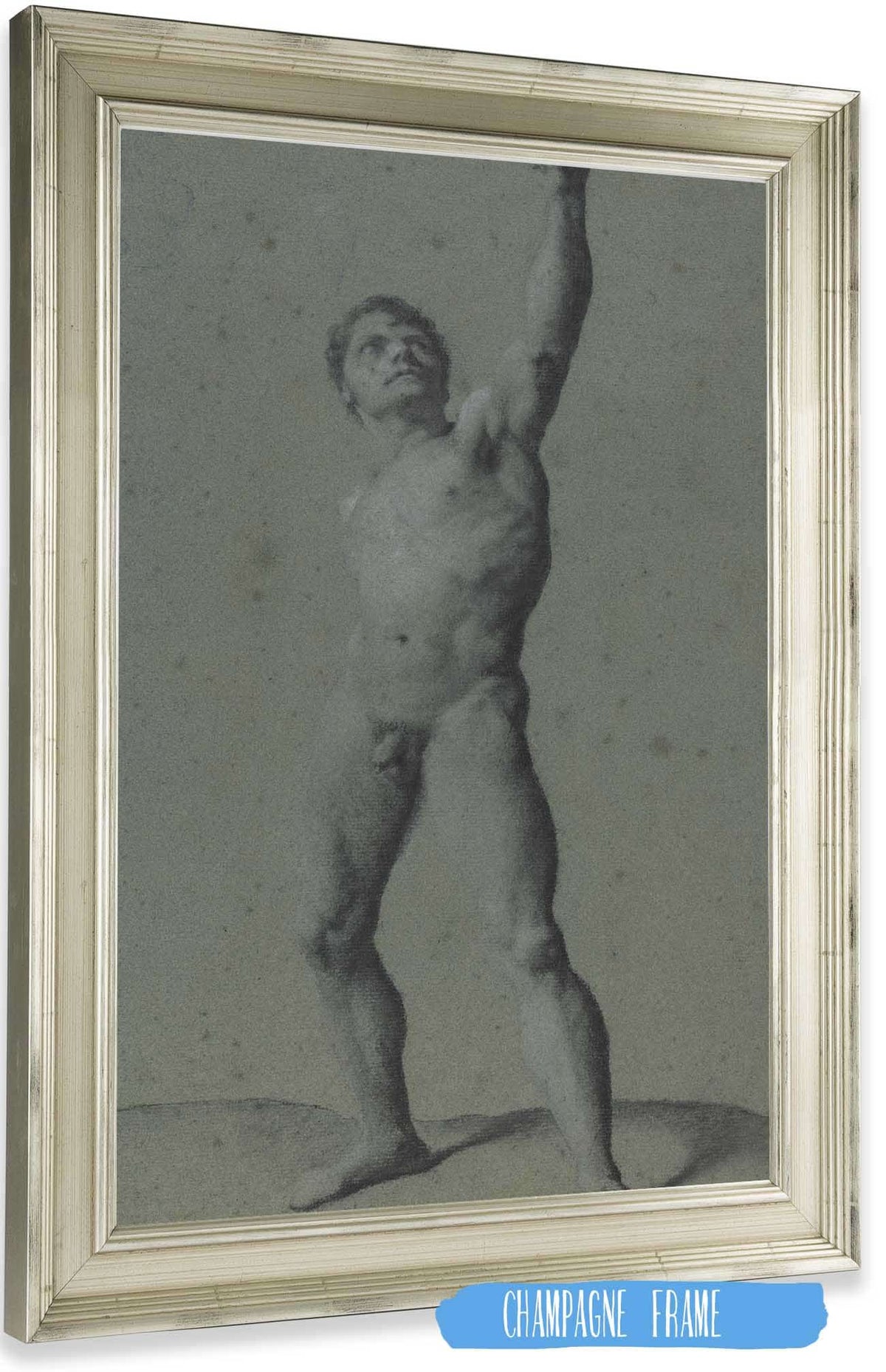Male Nude Study by Pierre Paul Prudhon Posters, Prints, & Visual Artwork