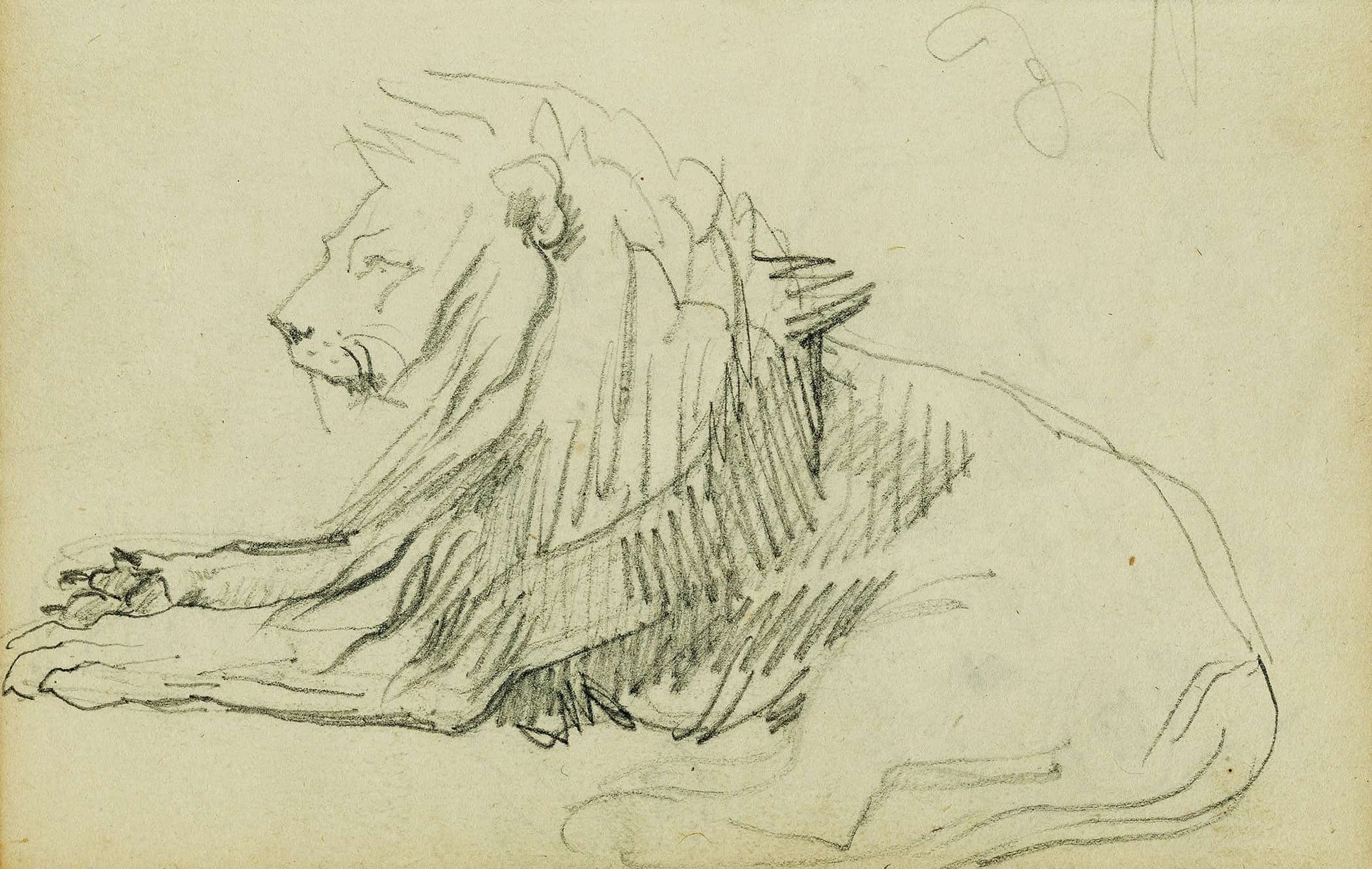Seated Lion  by Theodore Gericault Posters, Prints, & Visual Artwork