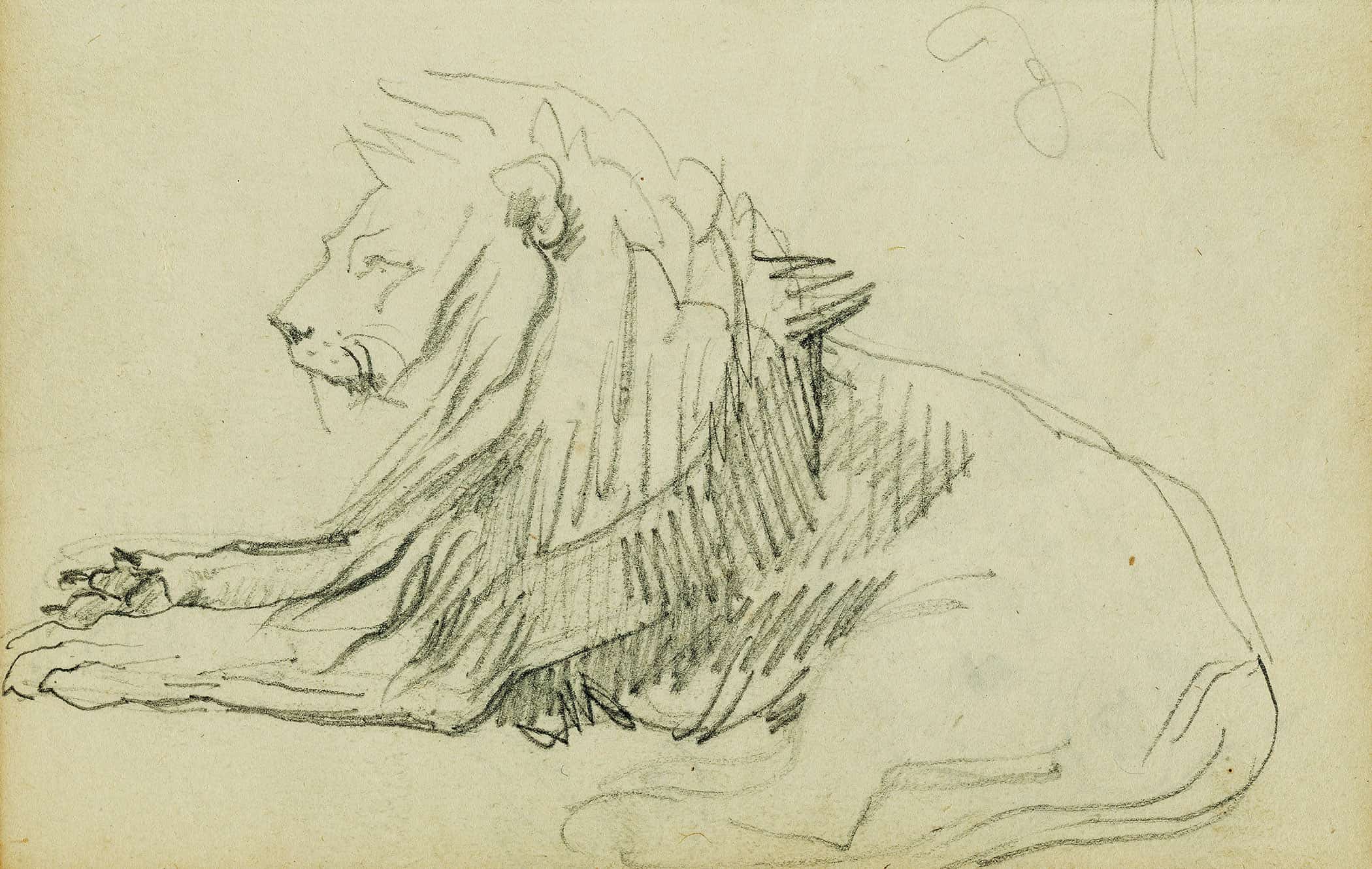 Seated Lion  by Theodore Gericault Posters, Prints, & Visual Artwork