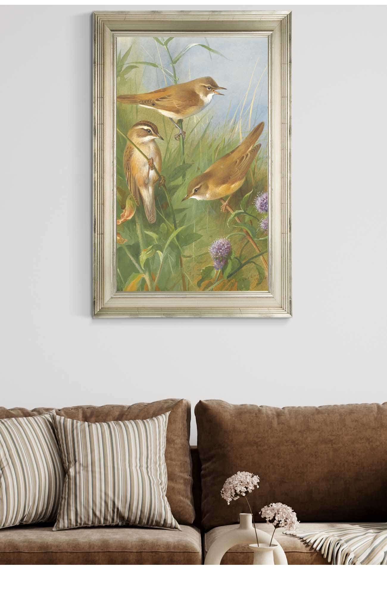 Sedge Warbler Reed Warbler And Marsh Warbler by Archibald Thorburn Posters, Prints, & Visual Artwork