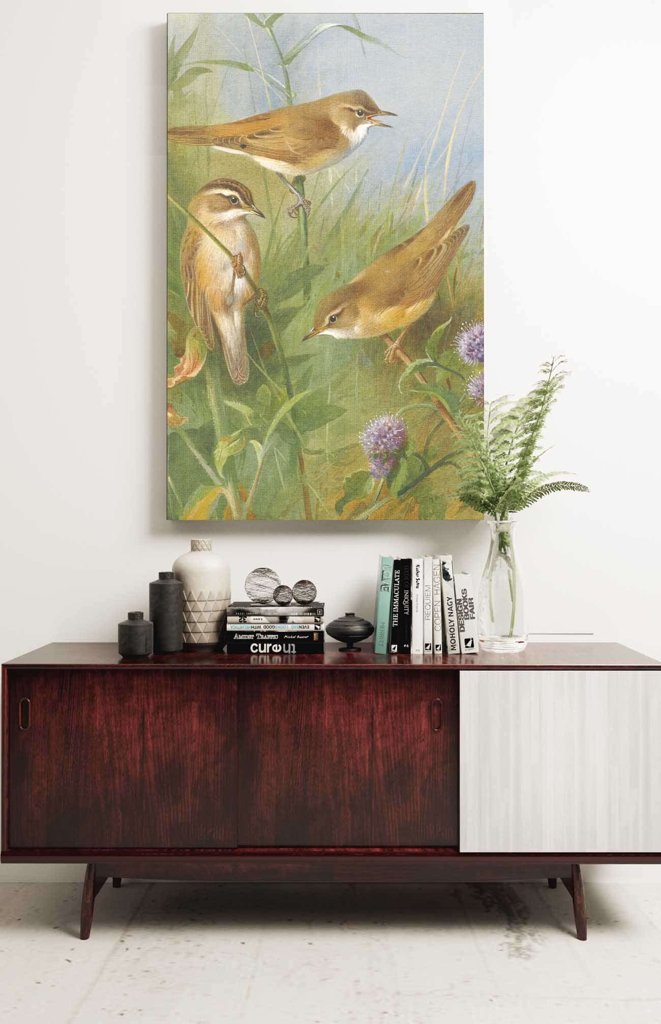Sedge Warbler Reed Warbler And Marsh Warbler by Archibald Thorburn Posters, Prints, & Visual Artwork