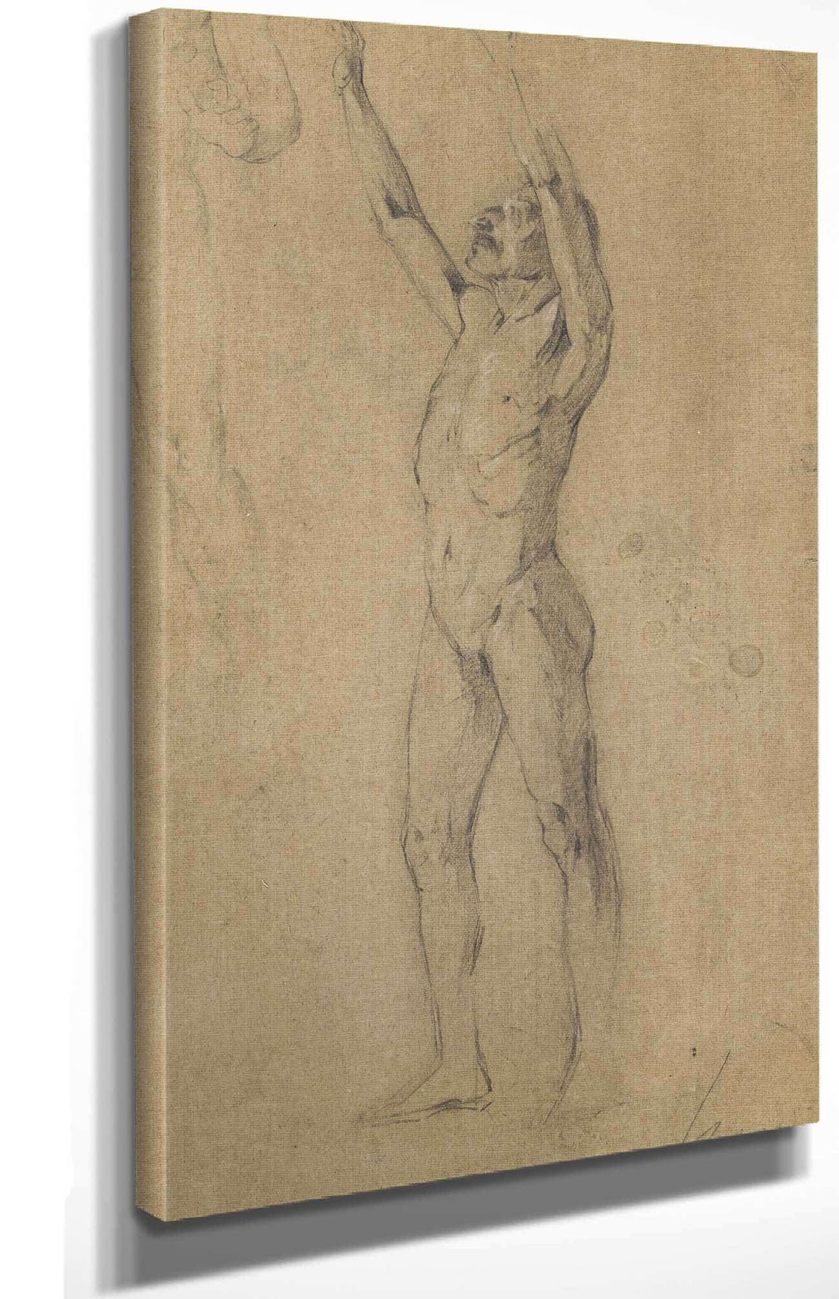 Studienblatt Mannerakte by Egon Schiele Posters, Prints, & Visual Artwork