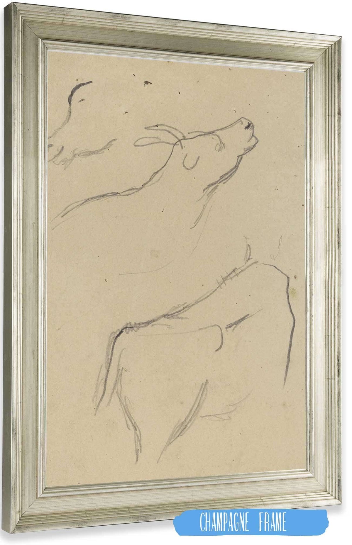 Studies Of A Cow Verso by Paul Gauguin Posters, Prints, & Visual Artwork