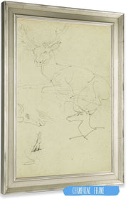 Studies Of A Seated Stag A Fawn A Goat Head  by Theodore Gericault Posters, Prints, & Visual Artwork