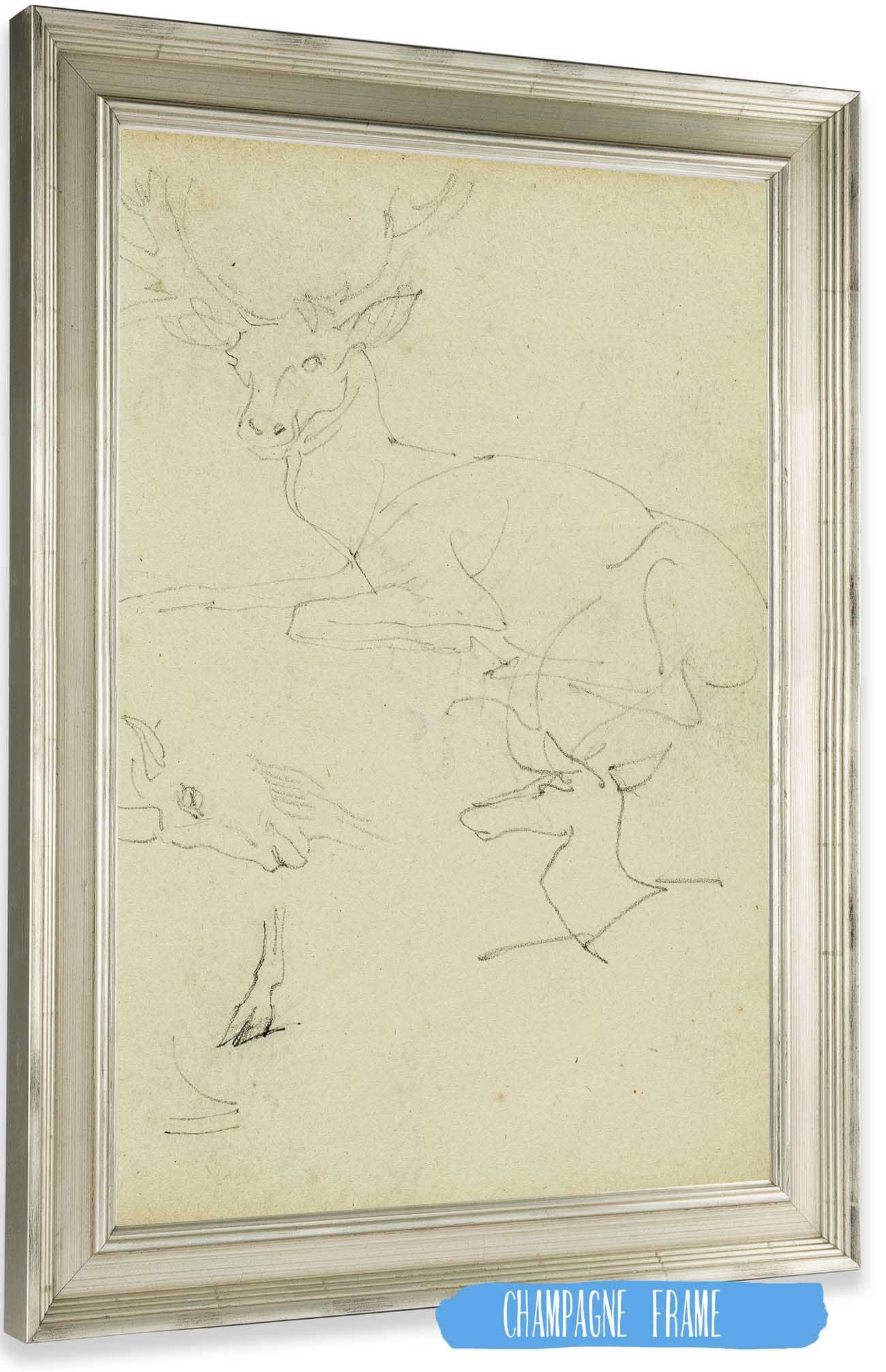 Studies Of A Seated Stag A Fawn A Goat Head  by Theodore Gericault Posters, Prints, & Visual Artwork