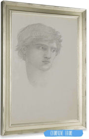 Study For Head Of Perseus In The Rock Of Doom by Sir Edward Coley Burne Jones Posters, Prints, & Visual Artwork