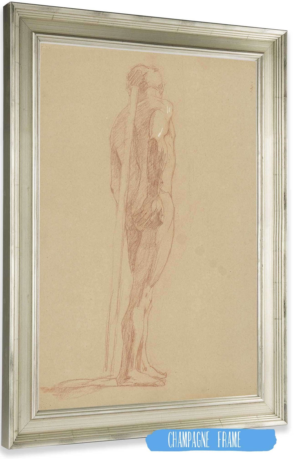 Study Of The Male Nude by Jozef Hanula Posters, Prints, & Visual Artwork