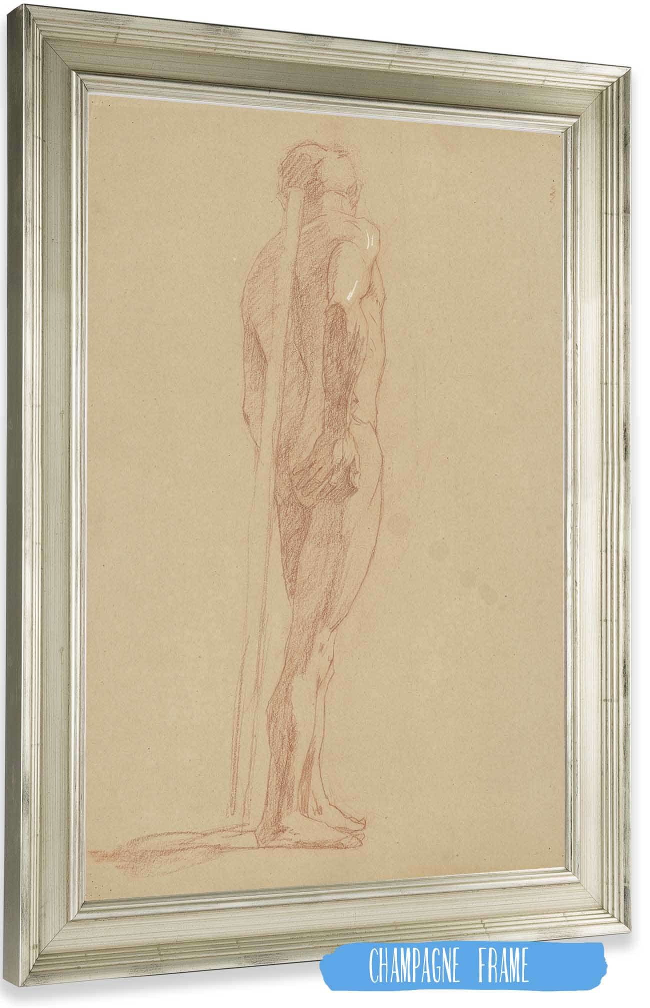 Study Of The Male Nude by Jozef Hanula Posters, Prints, & Visual Artwork