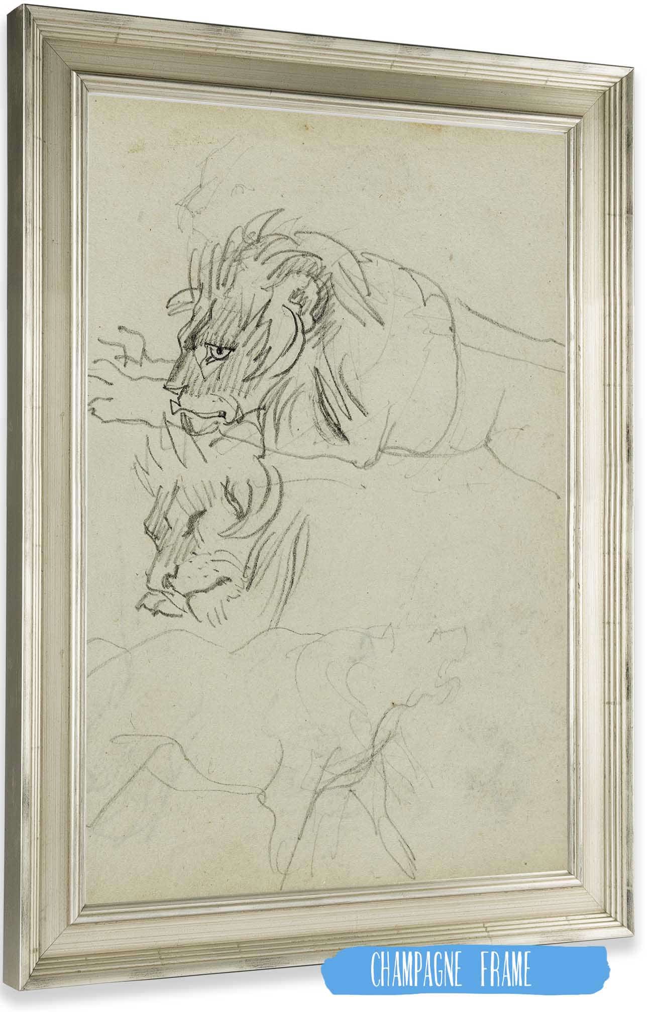 Three Lion Studies  by Theodore Gericault Posters, Prints, & Visual Artwork
