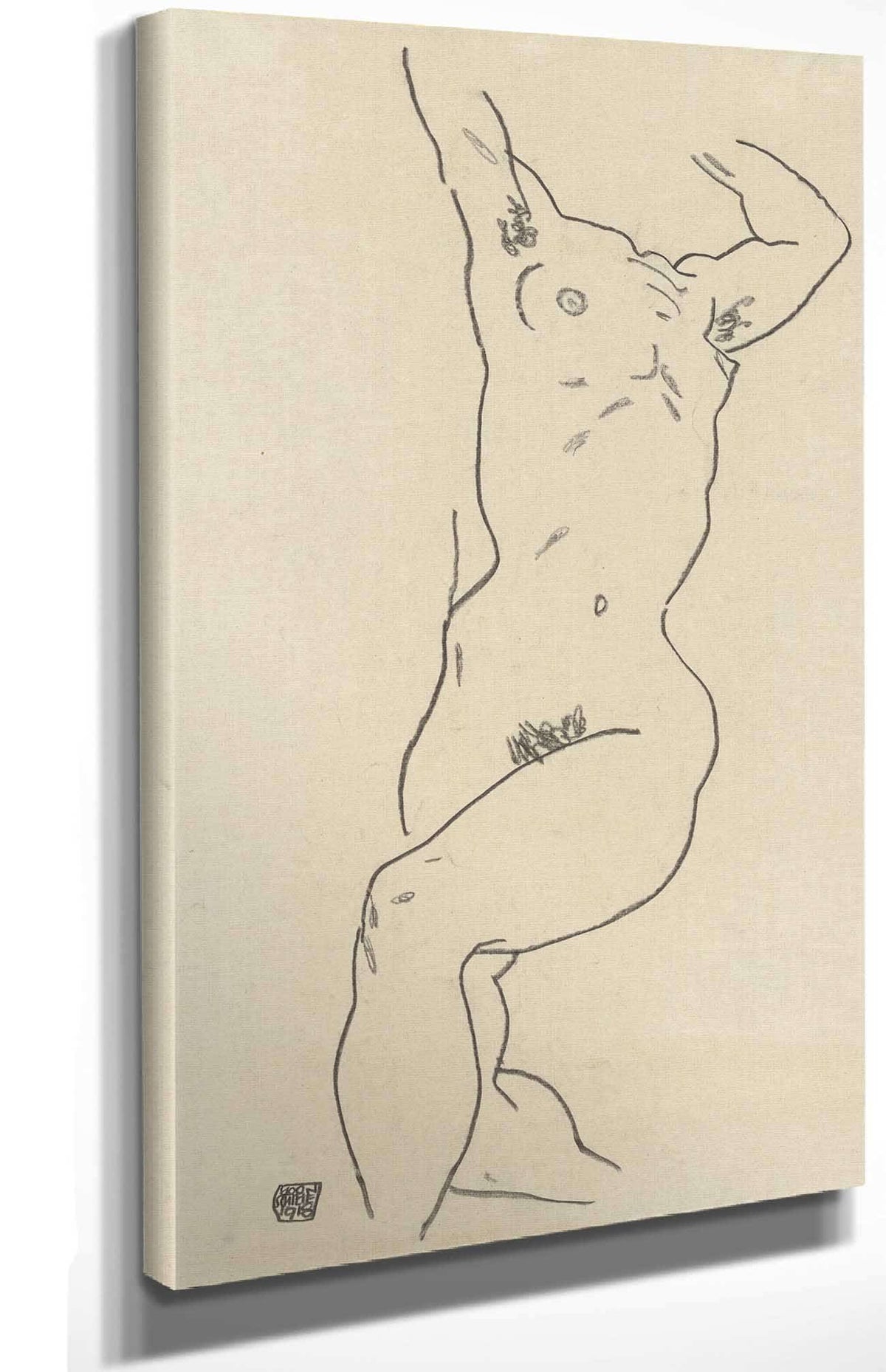 Torso Of A Nude by Egon Schiele Posters, Prints, & Visual Artwork