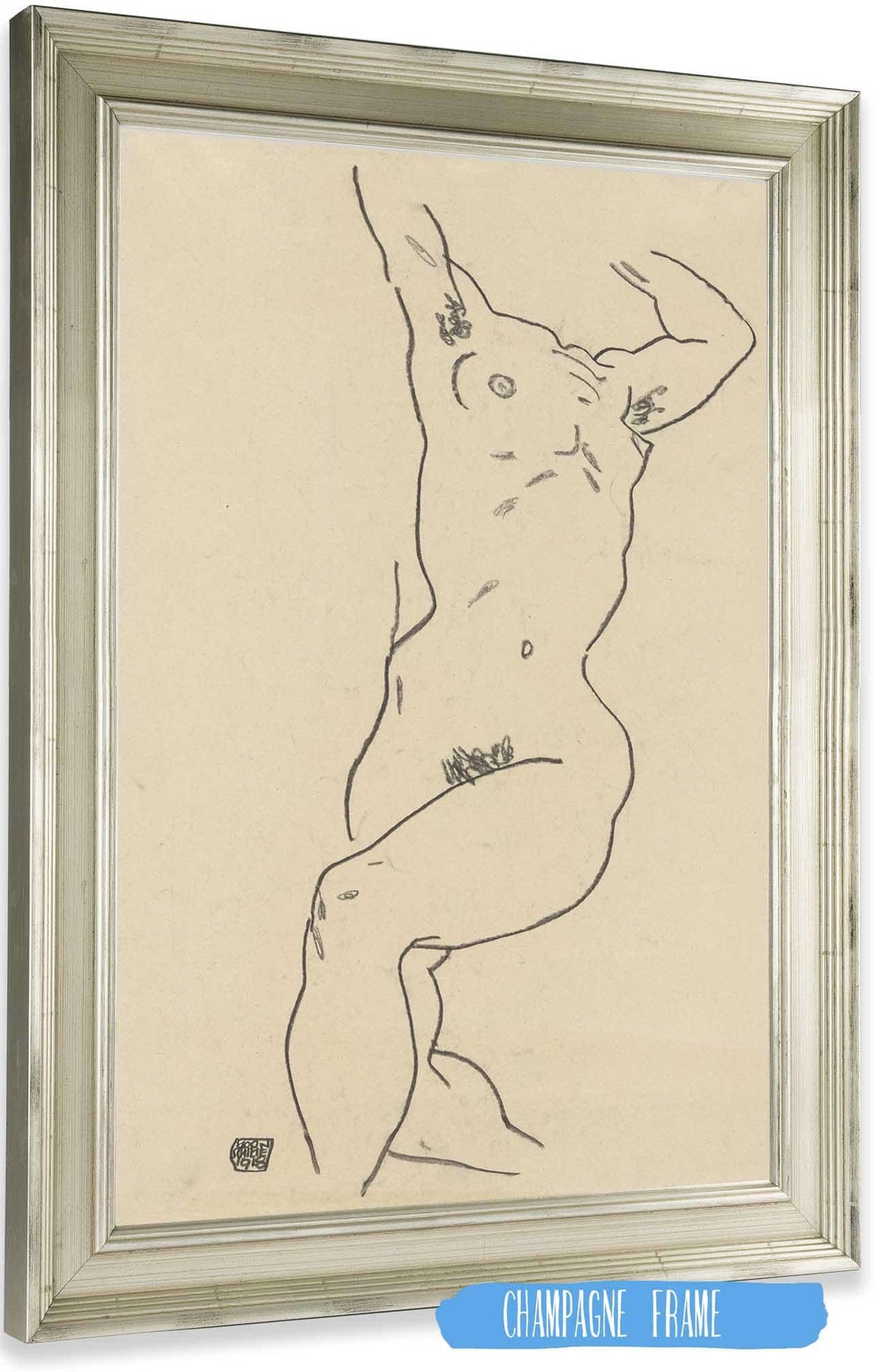 Torso Of A Nude by Egon Schiele Posters, Prints, & Visual Artwork