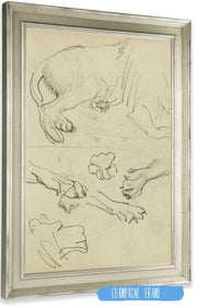 Various Studies Of Lion Leg Paws And Head  by Theodore Gericault Posters, Prints, & Visual Artwork