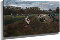 Potato Harvest by Max Liebermann