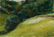Prado De Asturias San Esteban De Pravia Field In Asturias San Esteban De Pravia by Joaquin Sorolla