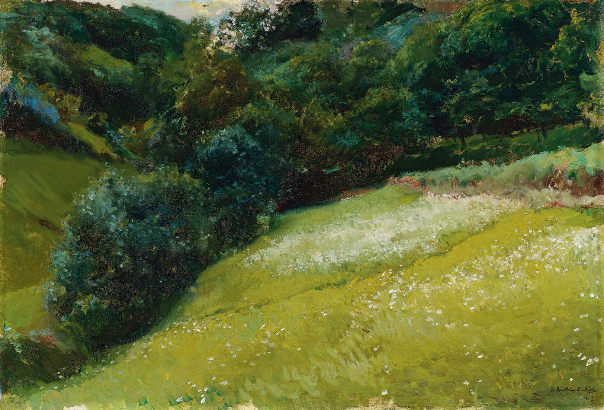 Prado De Asturias San Esteban De Pravia Field In Asturias San Esteban De Pravia by Joaquin Sorolla