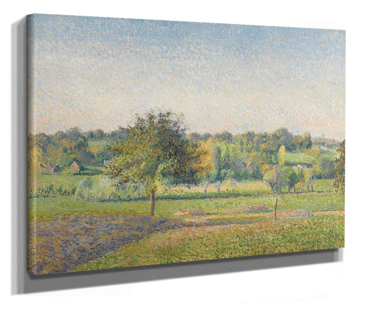 Prairie A Eragny by Camille Pissarro