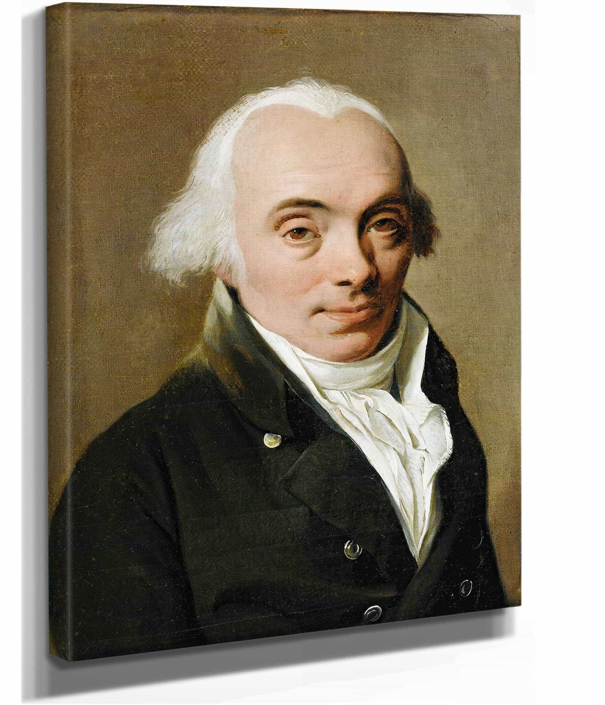 Presumed Portrait Of Alexandre Lenoir by Louis Leopold Boilly