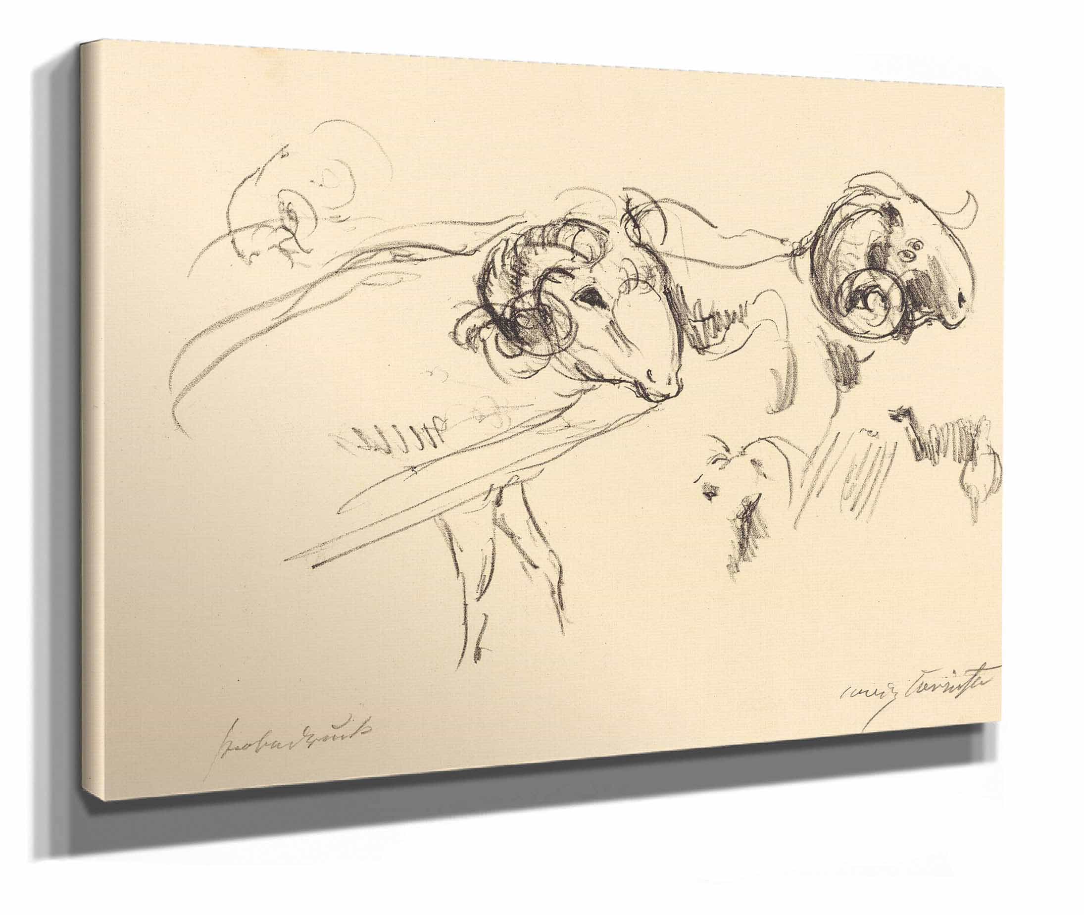 Rams Schafbocke by Lovis Corinth