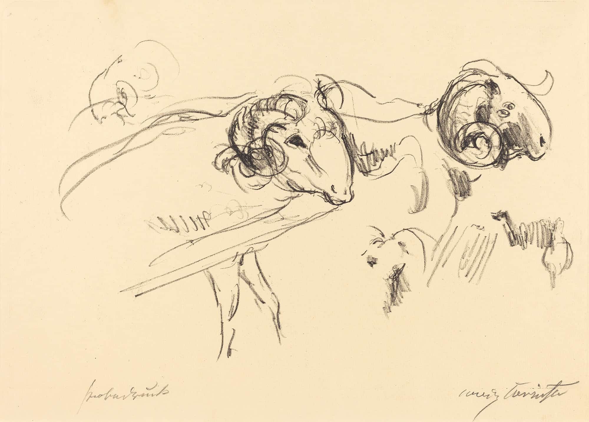 Rams Schafbocke by Lovis Corinth