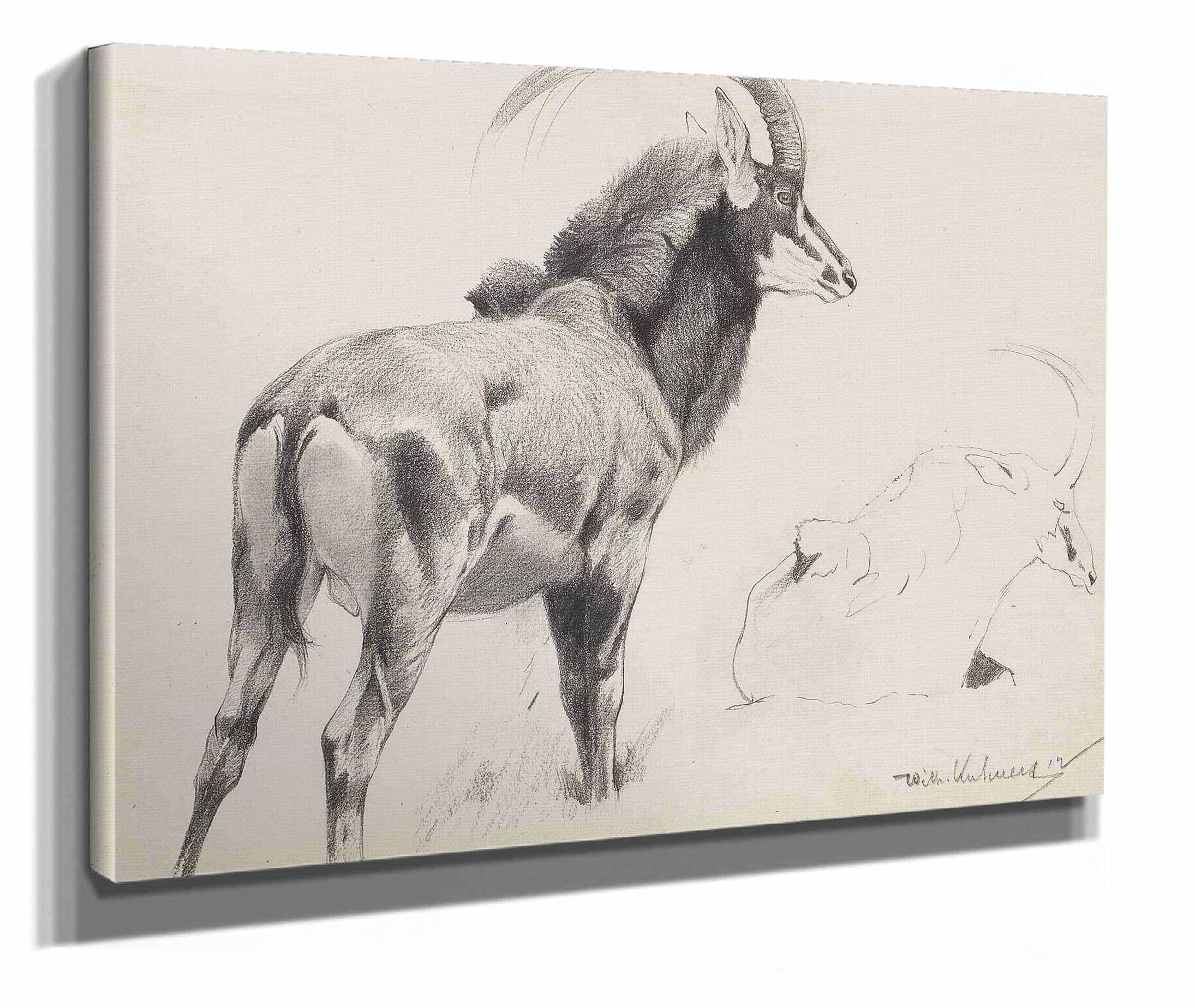 Rappenantilope by Wilhelm Kuhnert