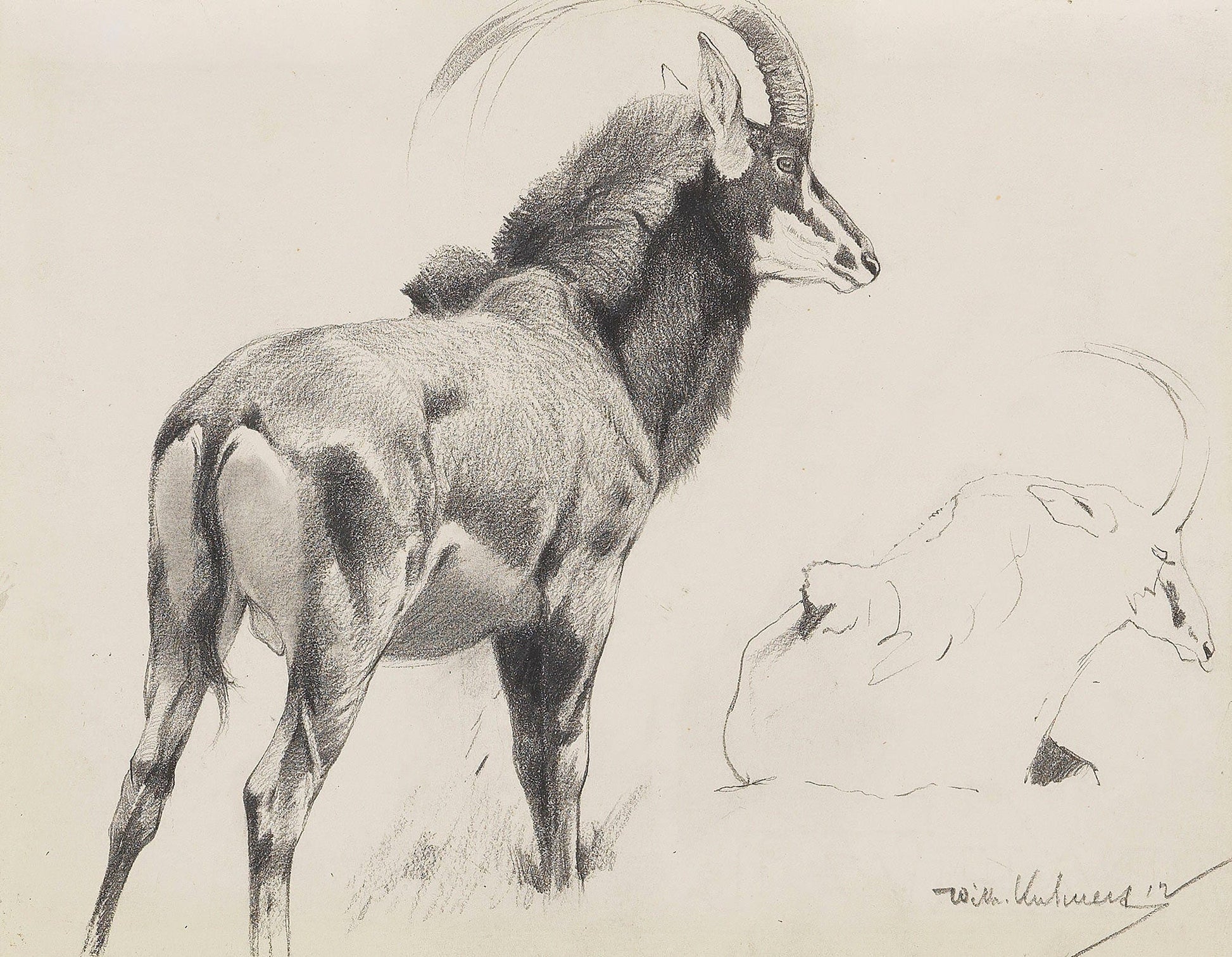 Rappenantilope by Wilhelm Kuhnert
