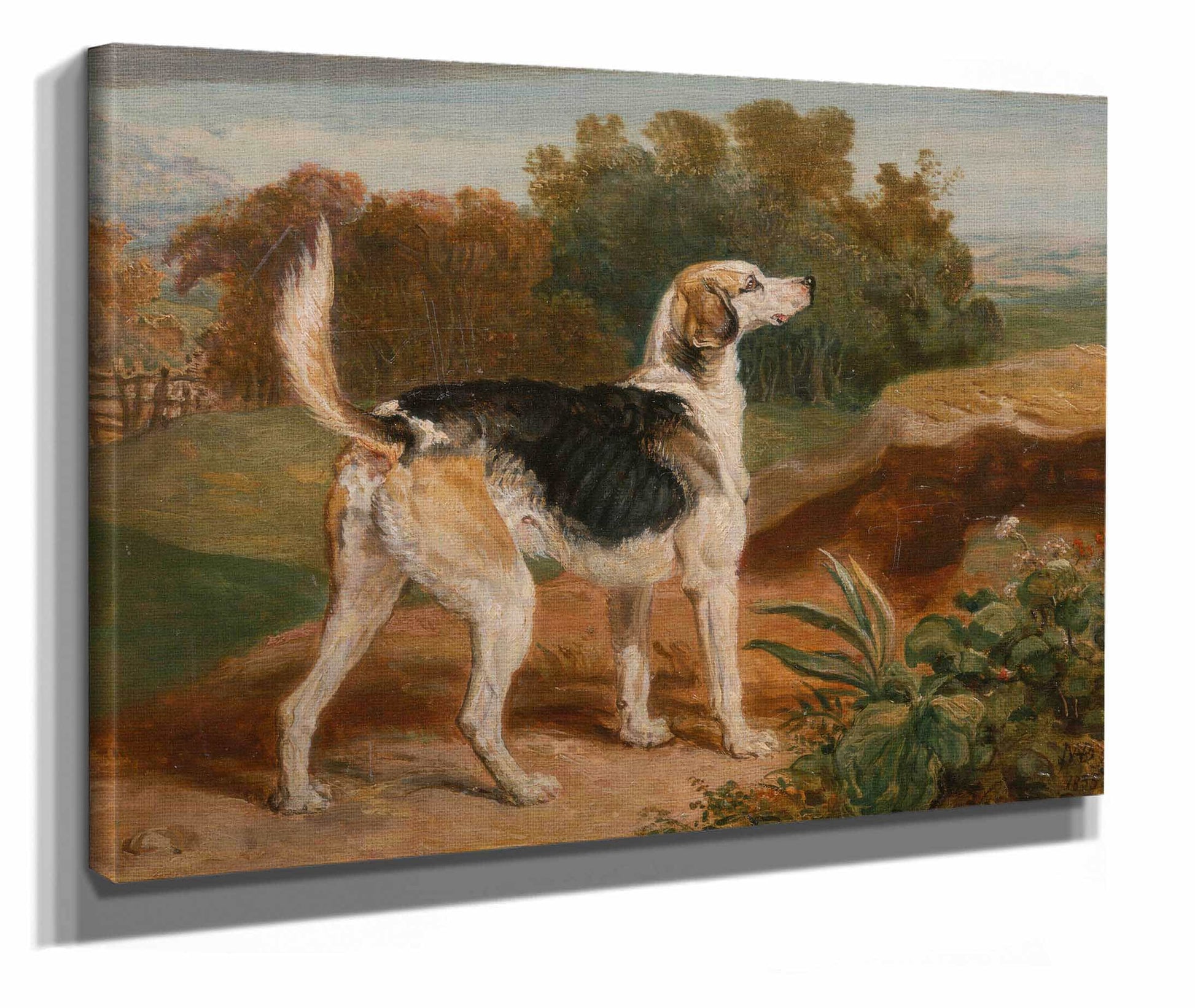Ravager One Of The Lambton Hounds by James Ward