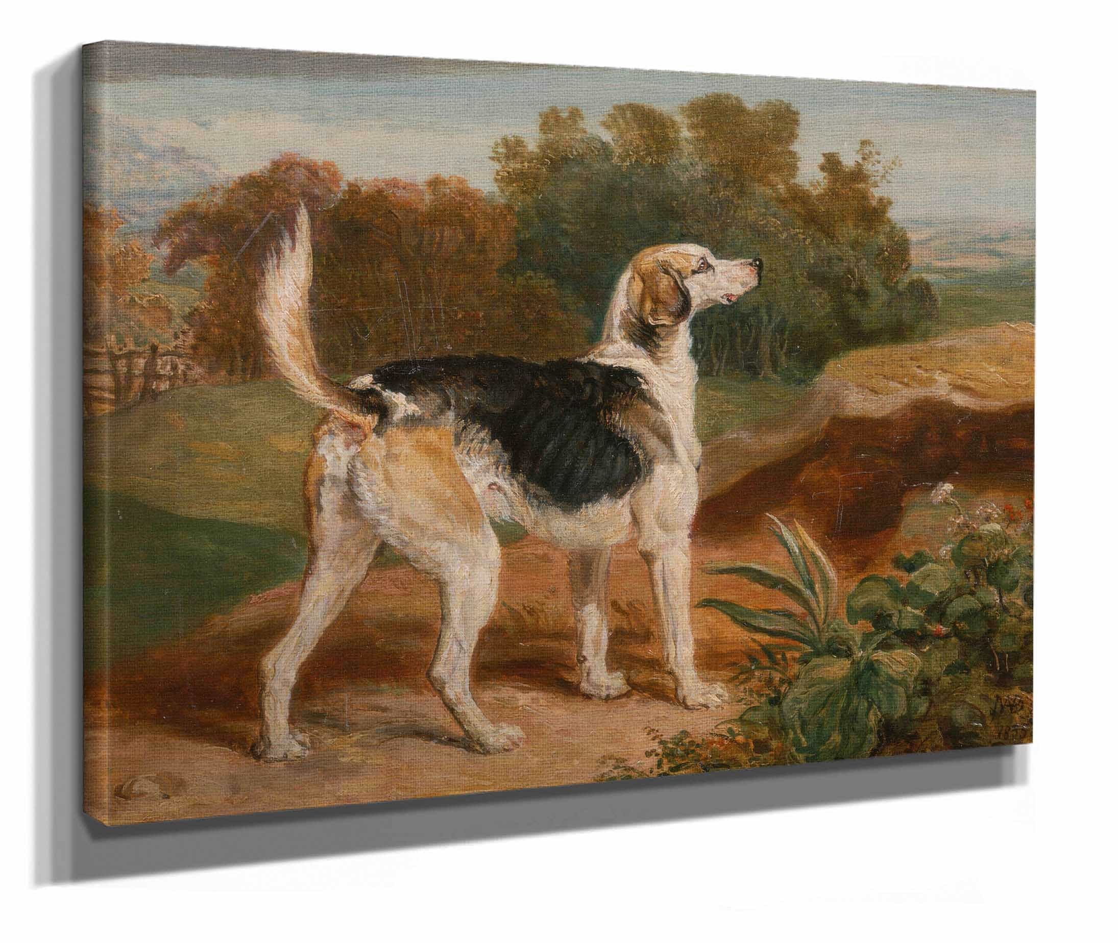 Ravager One Of The Lambton Hounds by James Ward