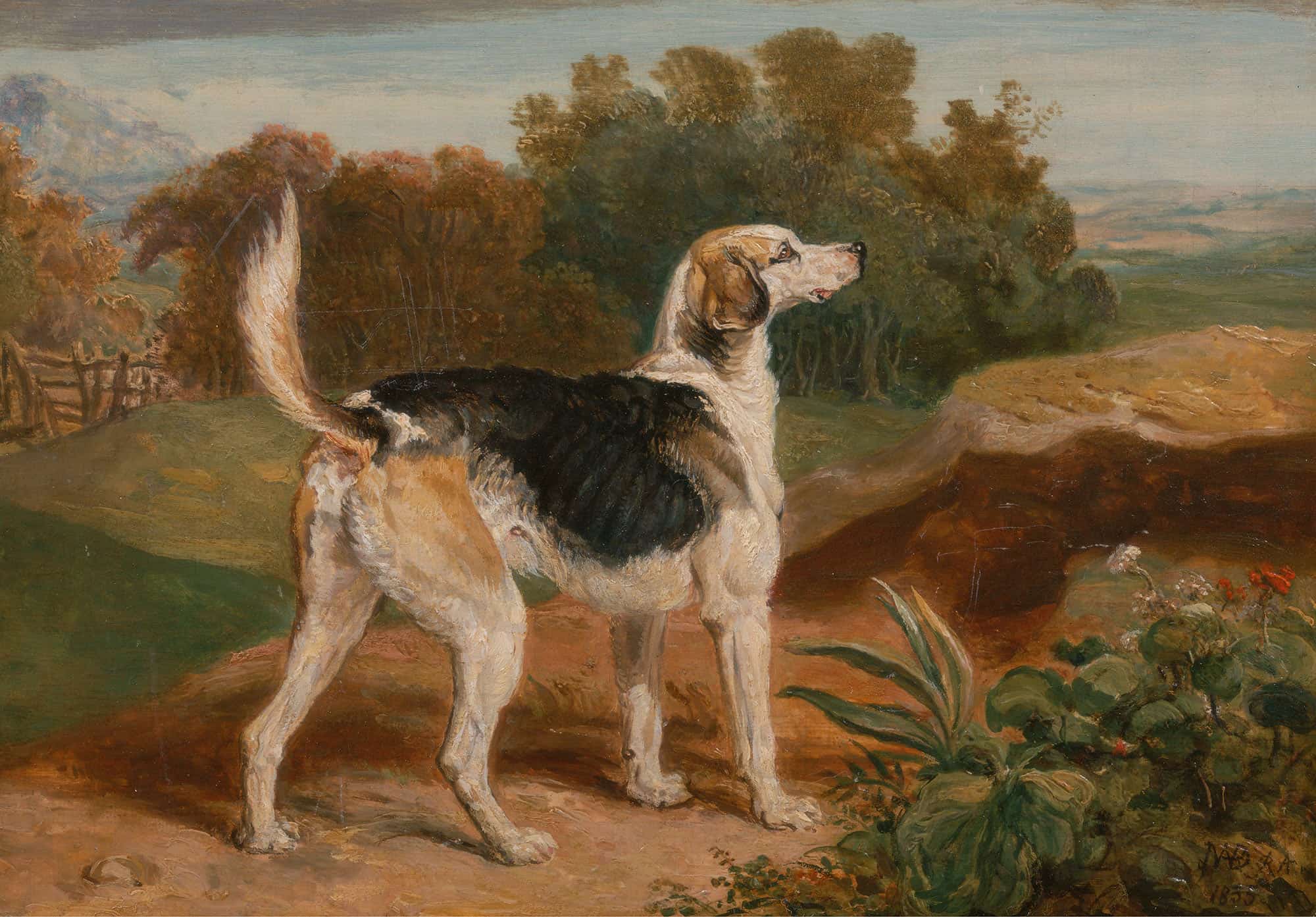 Ravager One Of The Lambton Hounds by James Ward