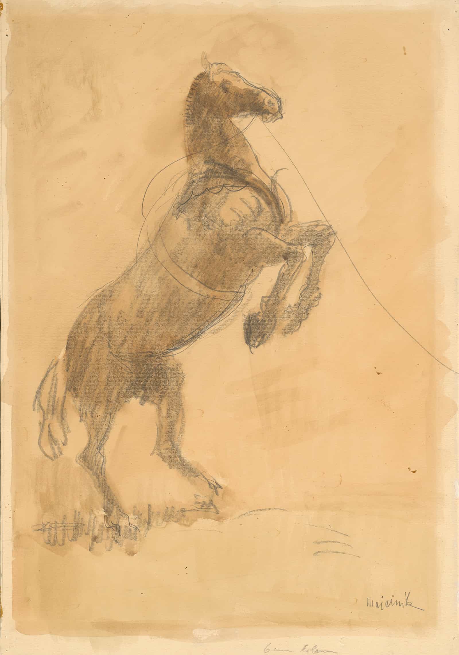 Rearing Horse by Cyprian Majernik