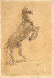 Rearing Horse by Cyprian Majernik