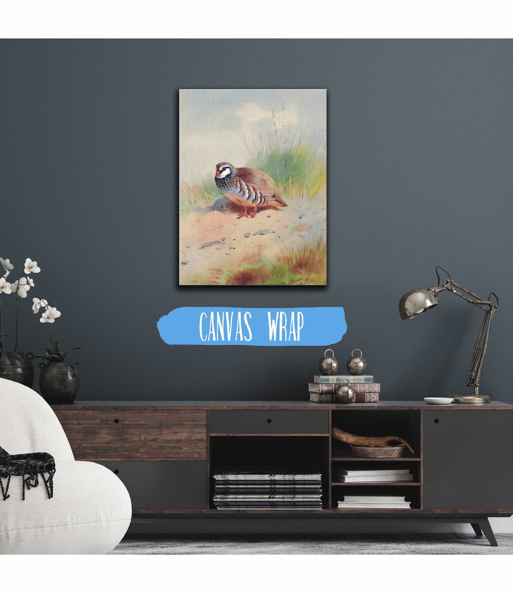 Red Legged Partridge by Archibald Thorburn