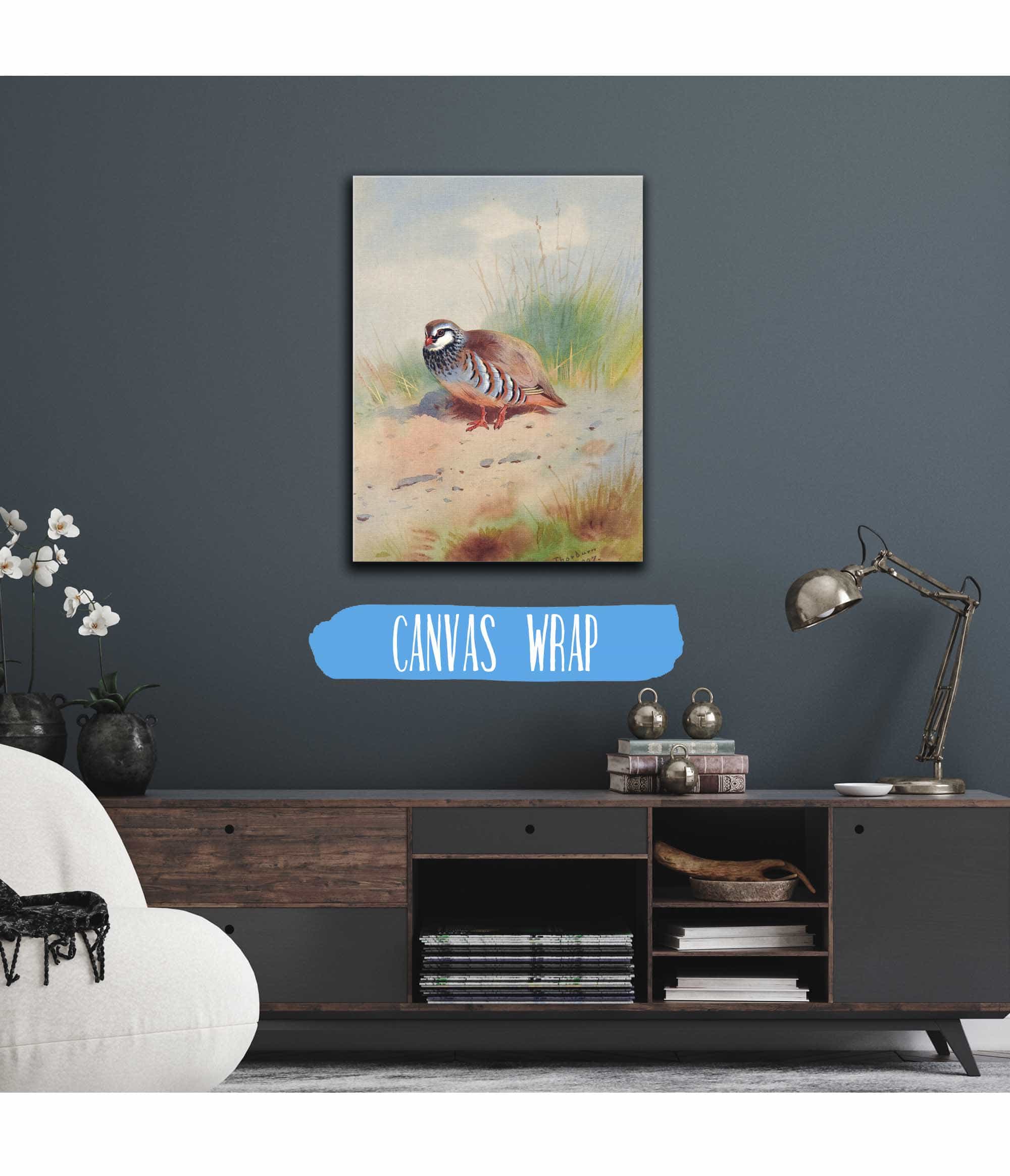 Red Legged Partridge by Archibald Thorburn