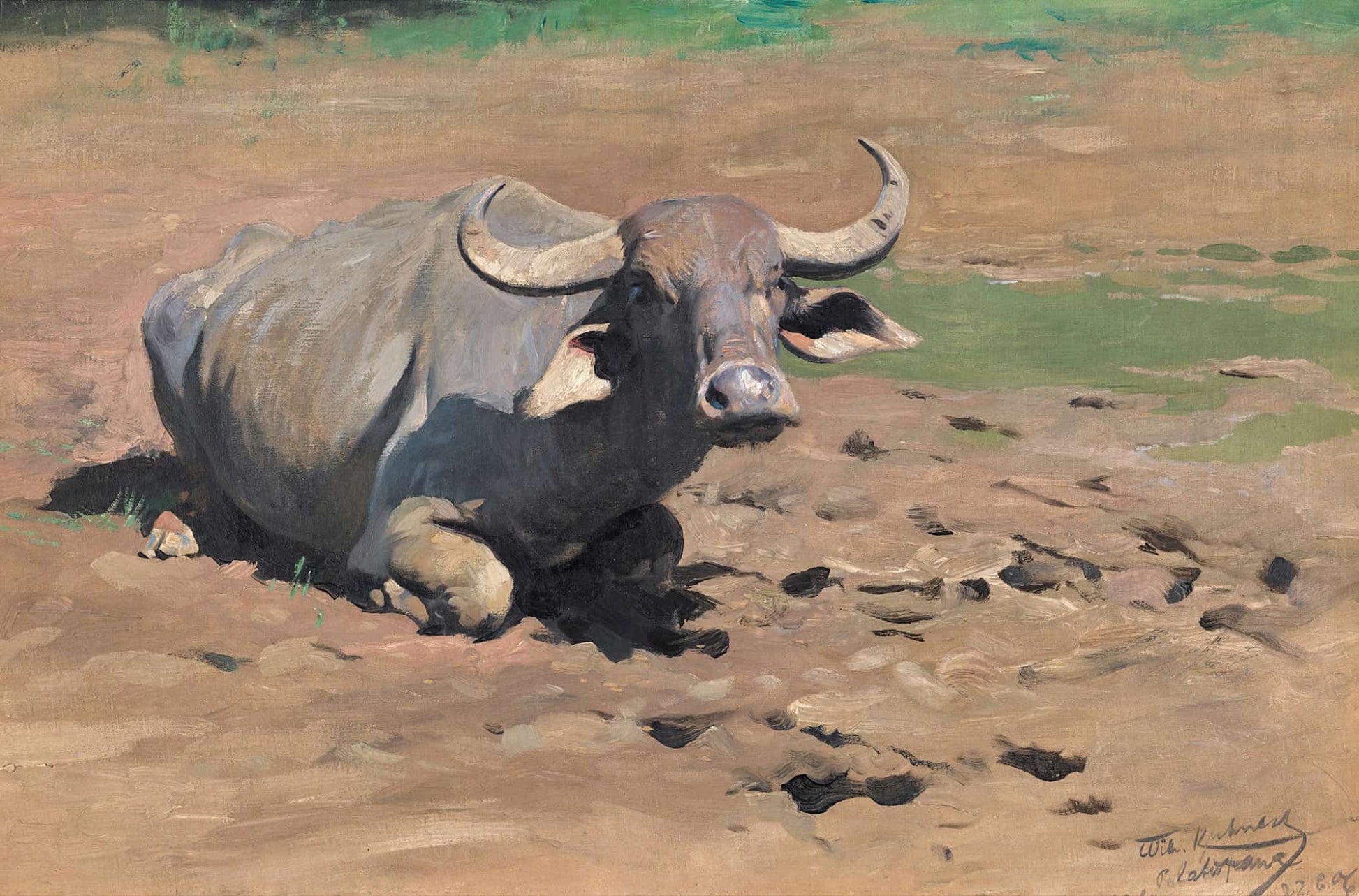 Resting Buffalo by Wilhelm Kuhnert
