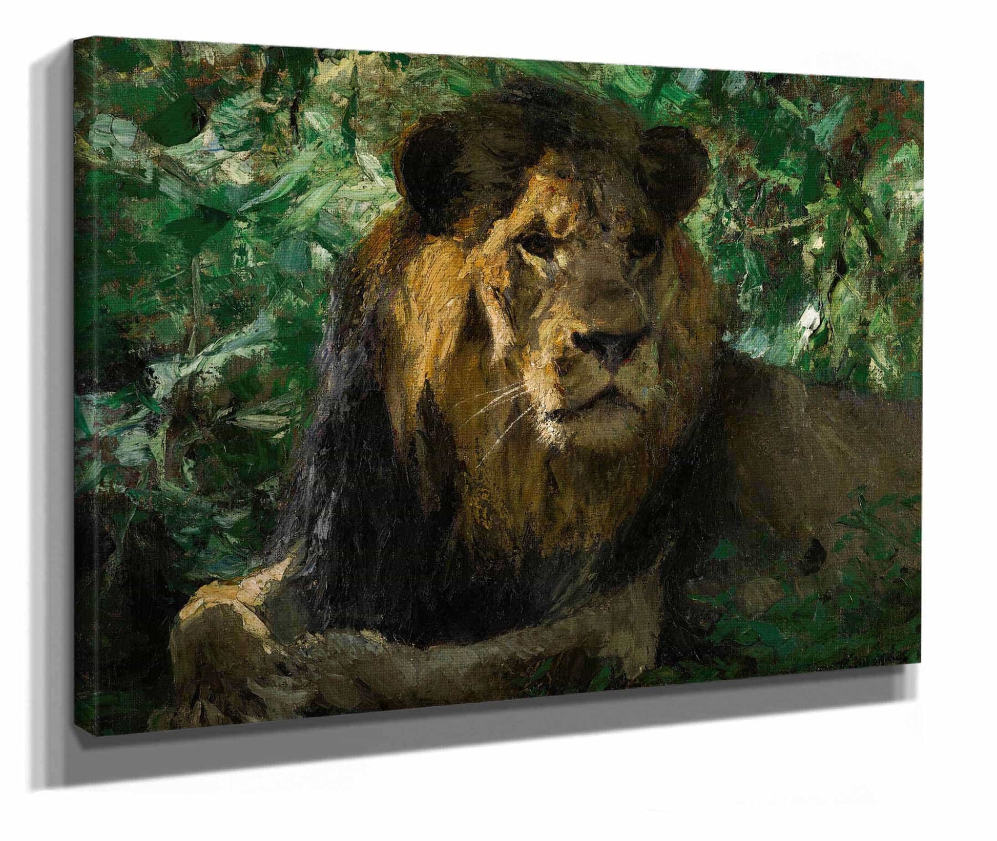Resting Lion by Wilhelm Kuhnert